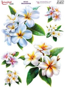 Sulu Transfer Kağıdı 25x35cm ST-2375