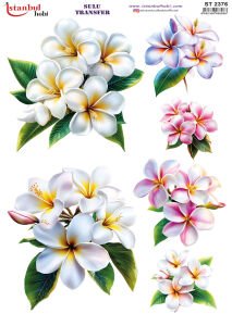 Sulu Transfer Kağıdı 25x35cm ST-2376