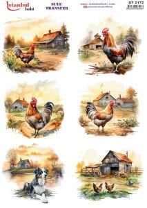 Sulu Transfer Kağıdı 25x35cm ST-2172