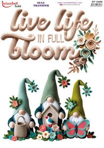 Sulu Transfer Kağıdı 25x35cm ST-2406