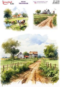 Sulu Transfer Kağıdı 25x35cm ST-2168