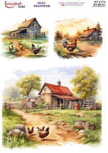 Sulu Transfer Kağıdı 25x35cm ST-2174