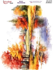 Sulu Transfer Kağıdı 25x35cm ST-2176