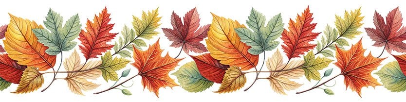 Bordür Rub On Transfer 150cm RK113