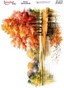 Sulu Transfer Kağıdı 25x35cm ST-2179