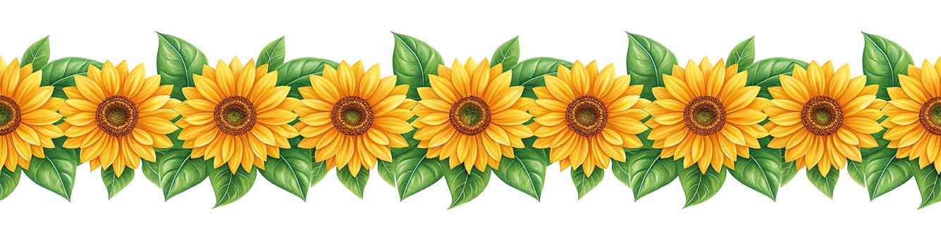 Bordür Rub On Transfer 150cm RK144