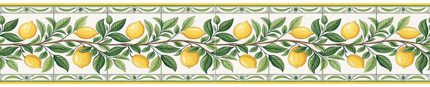 Bordür Rub On Transfer 150cm RK146