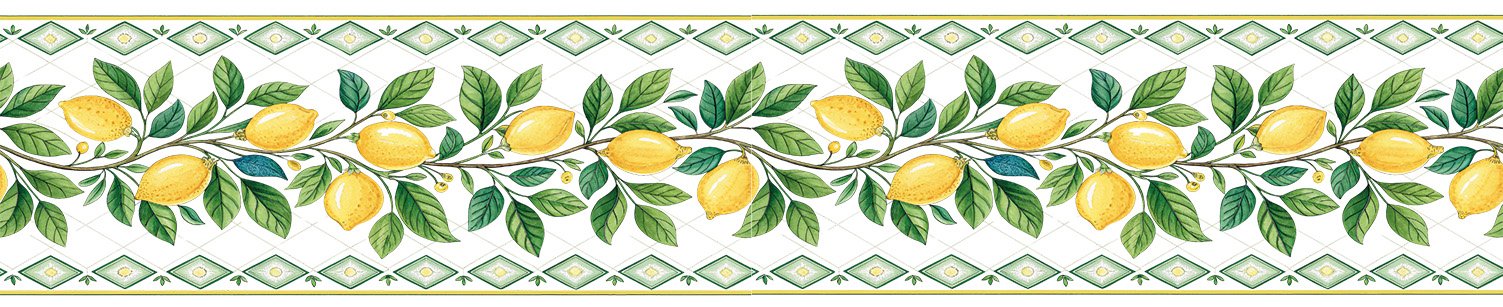 Bordür Rub On Transfer 150cm RK148