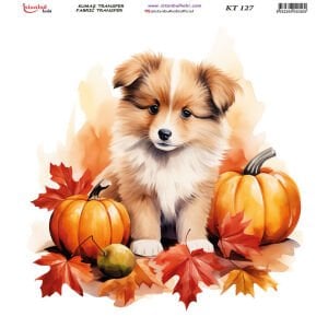 Kumaş Transfer Kağıdı 20x20cm KT-127