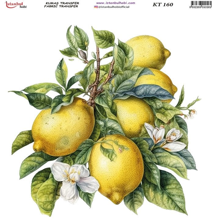 Kumaş Transfer Kağıdı 20x20cm KT-160