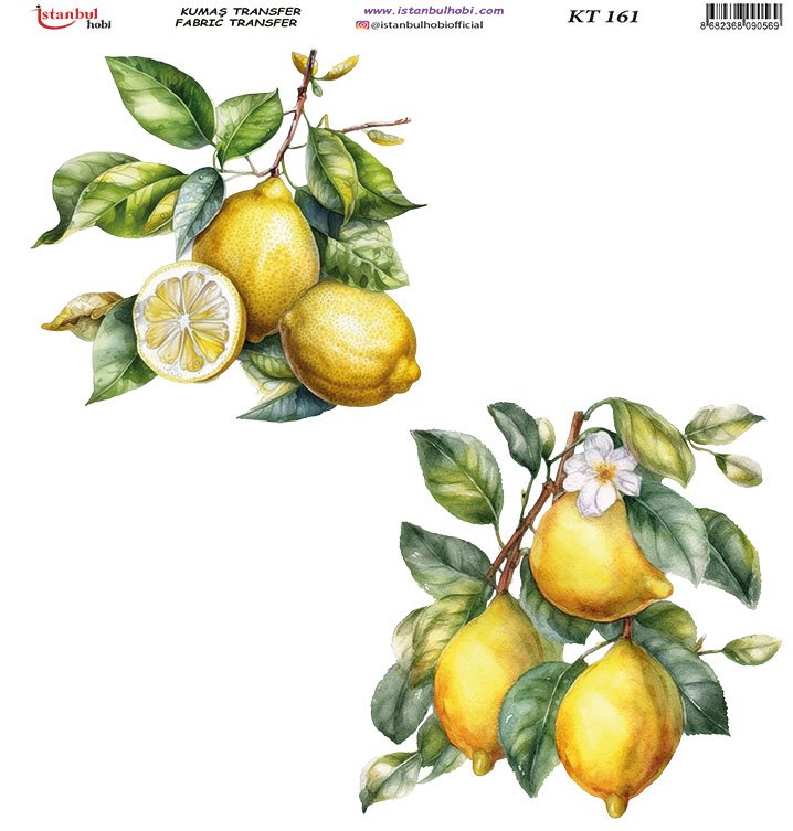 Kumaş Transfer Kağıdı 20x20cm KT-161