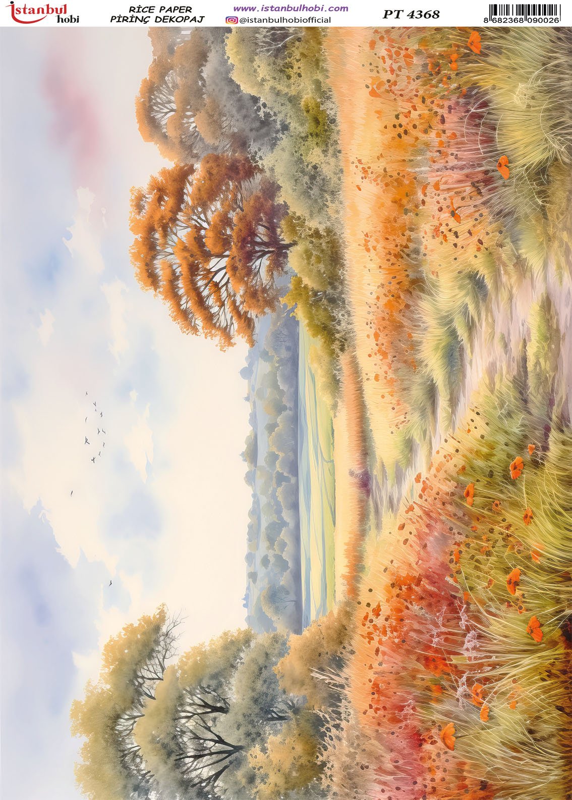 Pirinç Dekopaj Kağıdı 30x42cm PT-4368