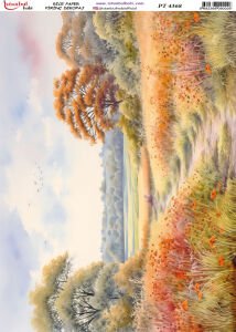 Pirinç Dekopaj Kağıdı 30x42cm PT-4368