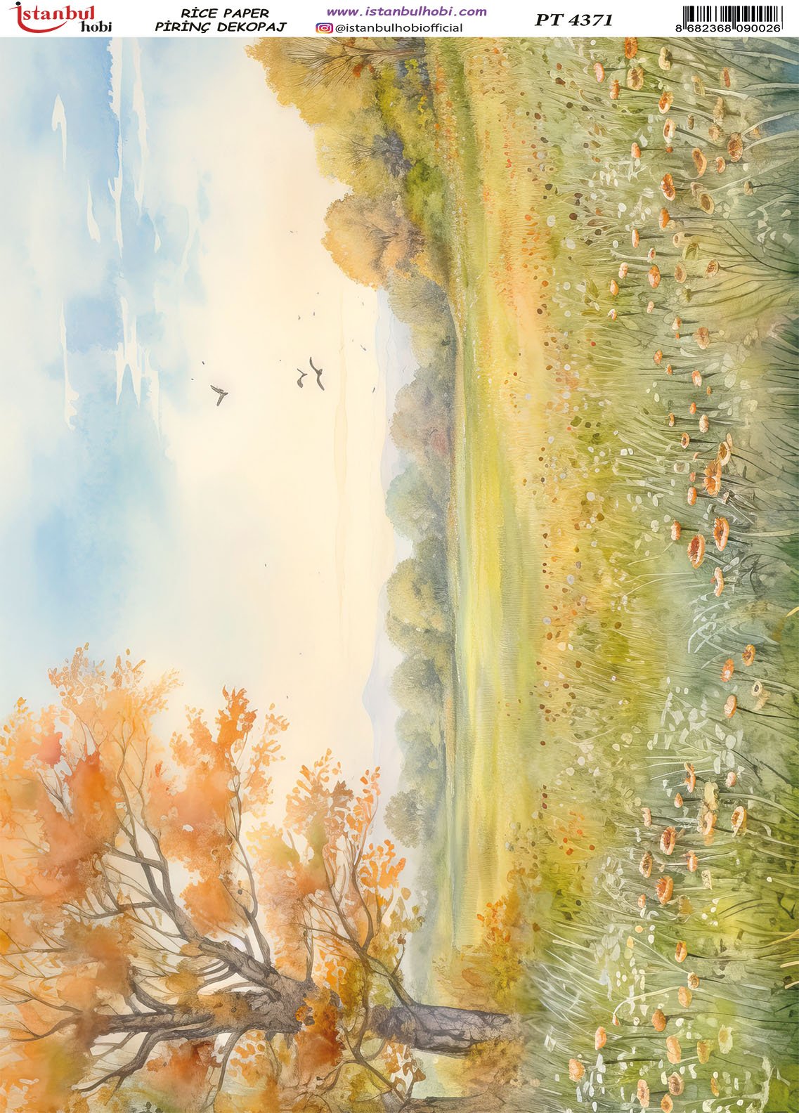 Pirinç Dekopaj Kağıdı 30x42cm PT-4371