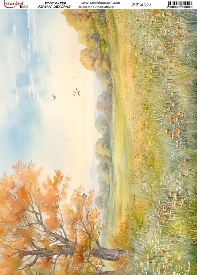 Pirinç Dekopaj Kağıdı 30x42cm PT-4371