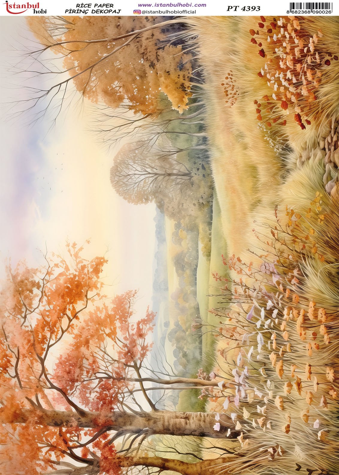 Pirinç Dekopaj Kağıdı 30x42cm PT-4393