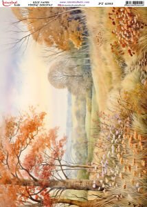 Pirinç Dekopaj Kağıdı 30x42cm PT-4393