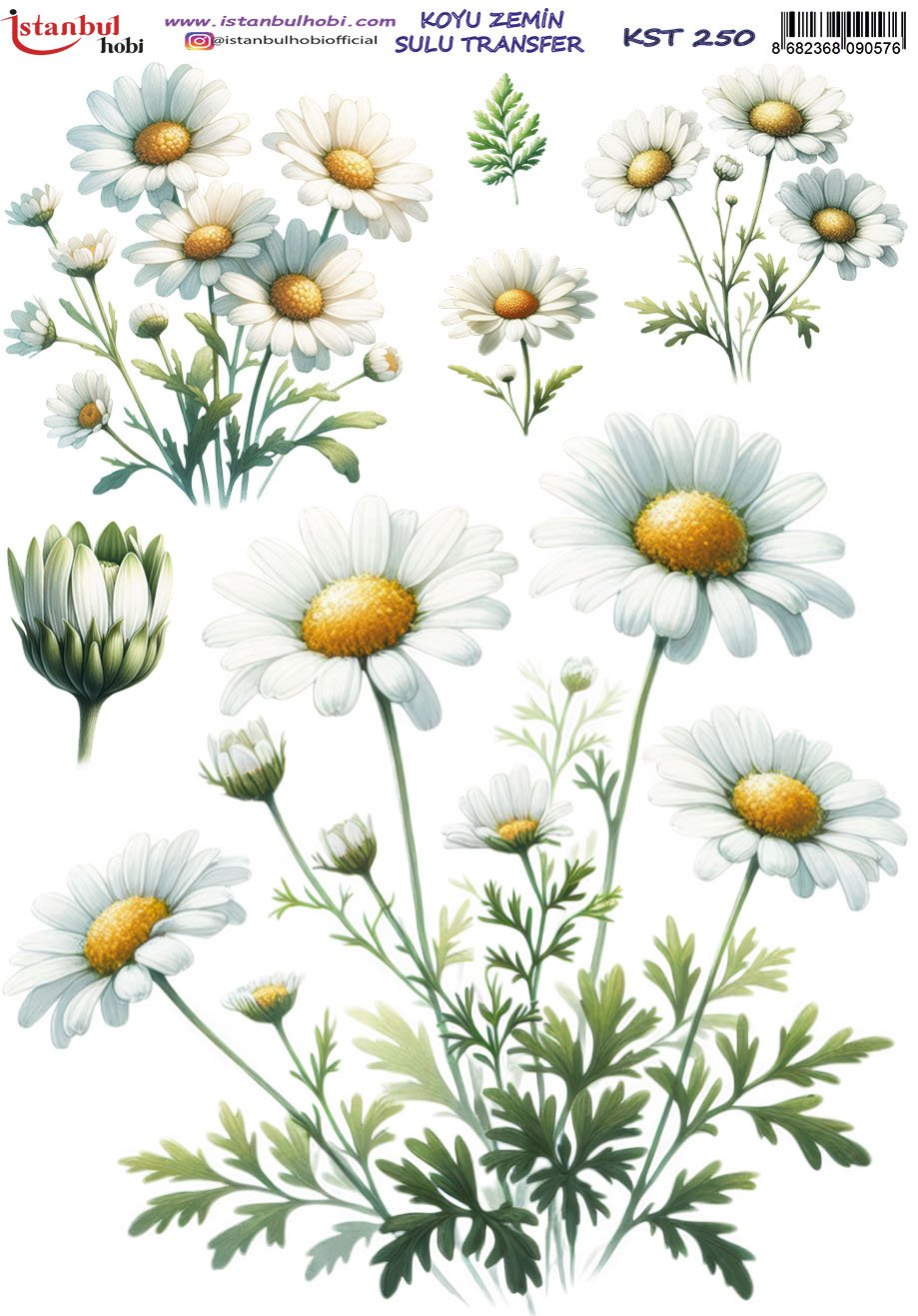 Koyu Zemin Sulu Transfer Kağıdı 25x35cm KST250