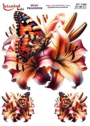 Sulu Transfer Kağıdı 25x35cm ST-1183