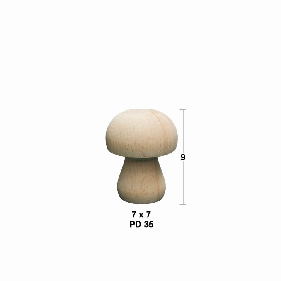 Boyanabilir Mantar PD35