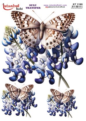 Sulu Transfer Kağıdı 25x35cm ST-1193
