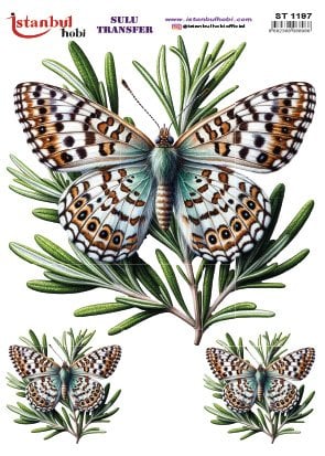 Sulu Transfer Kağıdı 25x35cm ST-1197
