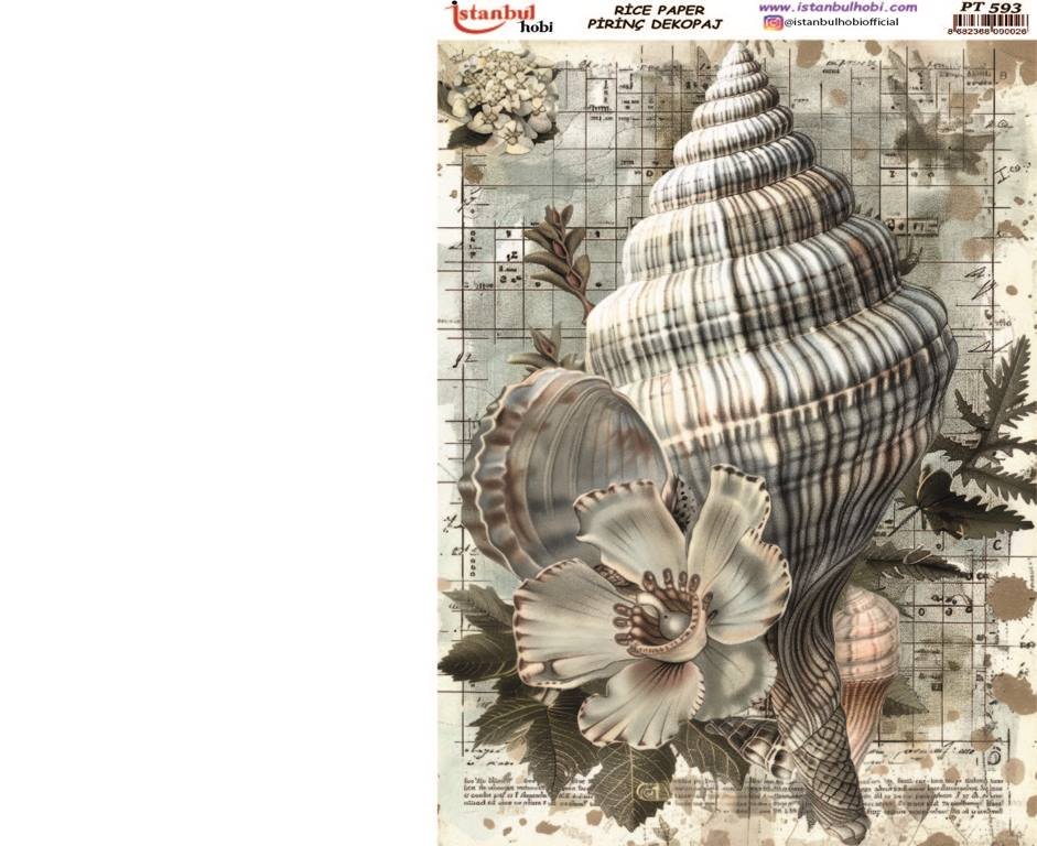 Pirinç Dekopaj Kağıdı 30x42cm PT-593