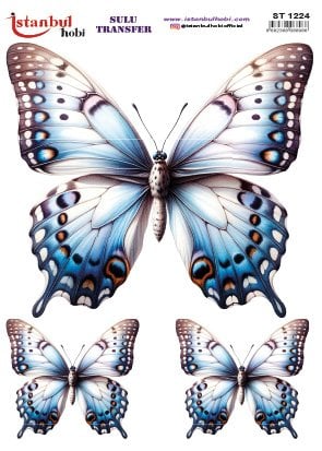 Sulu Transfer Kağıdı 25x35cm ST-1224