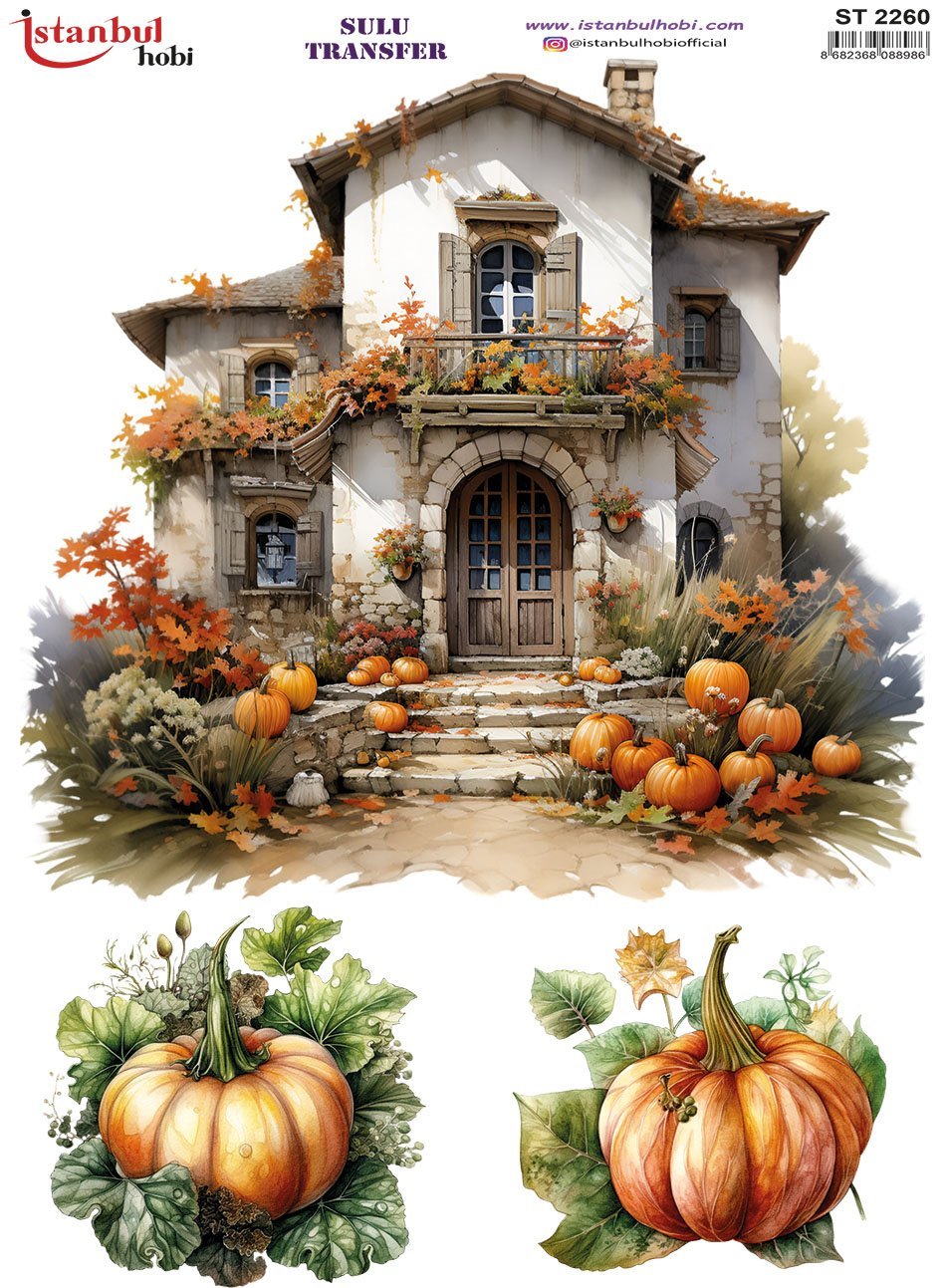 Sulu Transfer Kağıdı 25x35cm ST-2260