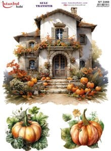 Sulu Transfer Kağıdı 25x35cm ST-2260