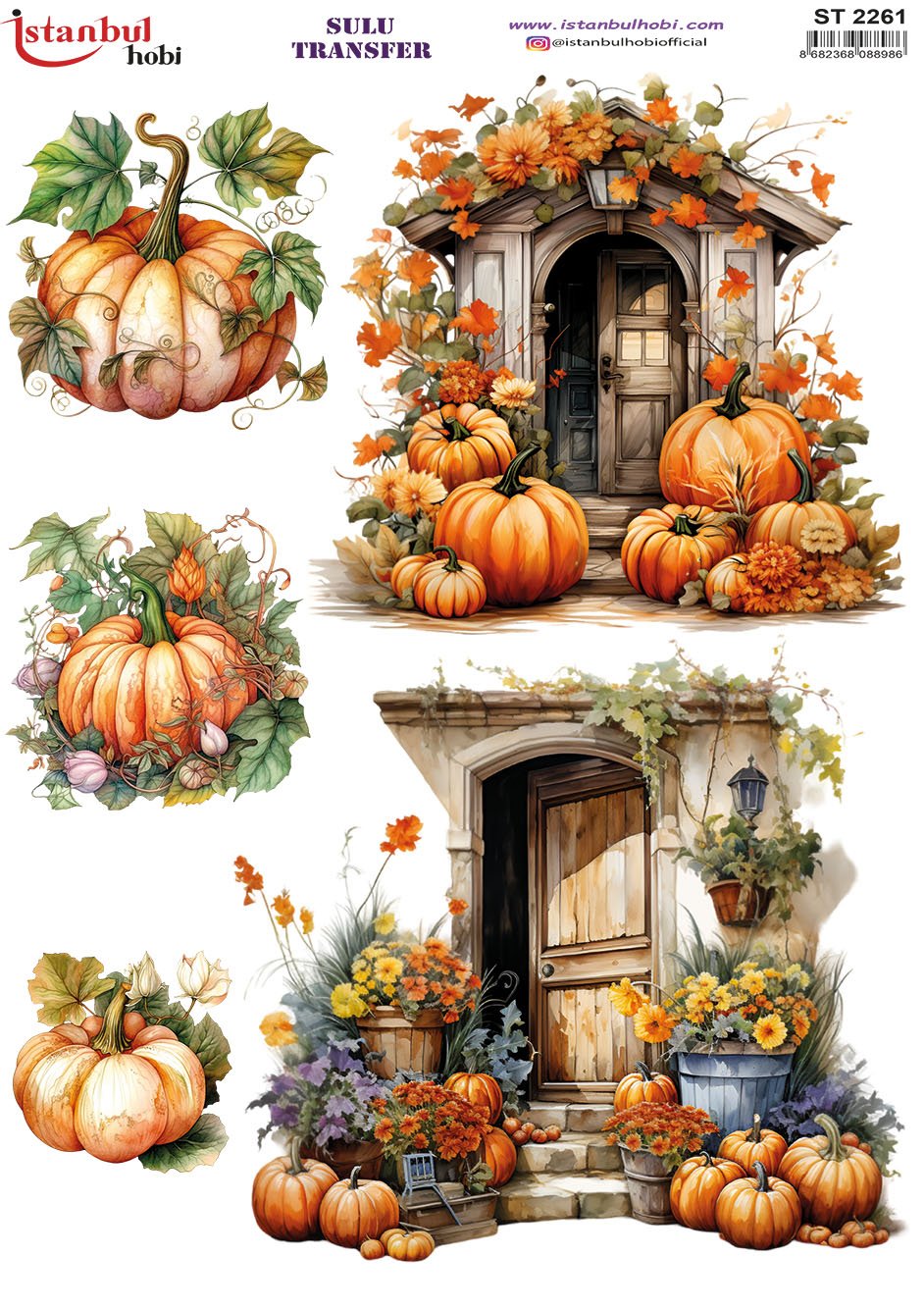 Sulu Transfer Kağıdı 25x35cm ST-2261