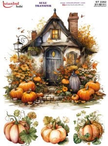 Sulu Transfer Kağıdı 25x35cm ST-2262