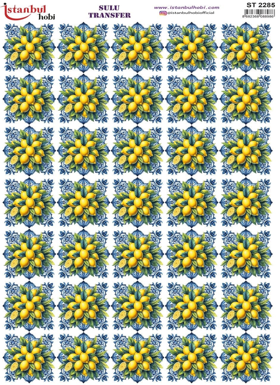 Sulu Transfer Kağıdı 25x35cm ST-2285