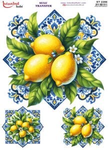 Sulu Transfer Kağıdı 25x35cm ST-2286