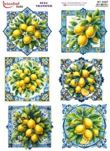 Sulu Transfer Kağıdı 25x35cm ST-2287