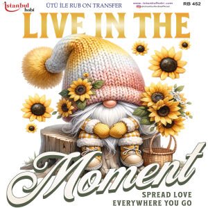 Ütü İle Rub On Transfer 30x30cm RB452