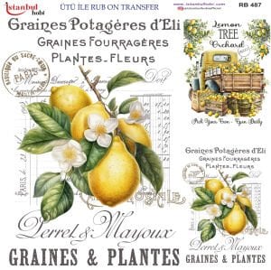 Ütü İle Rub On Transfer 30x30cm RB487