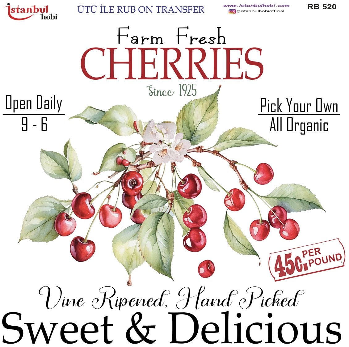 Ütü İle Rub On Transfer 30x30cm RB520