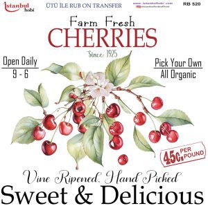 Ütü İle Rub On Transfer 30x30cm RB520