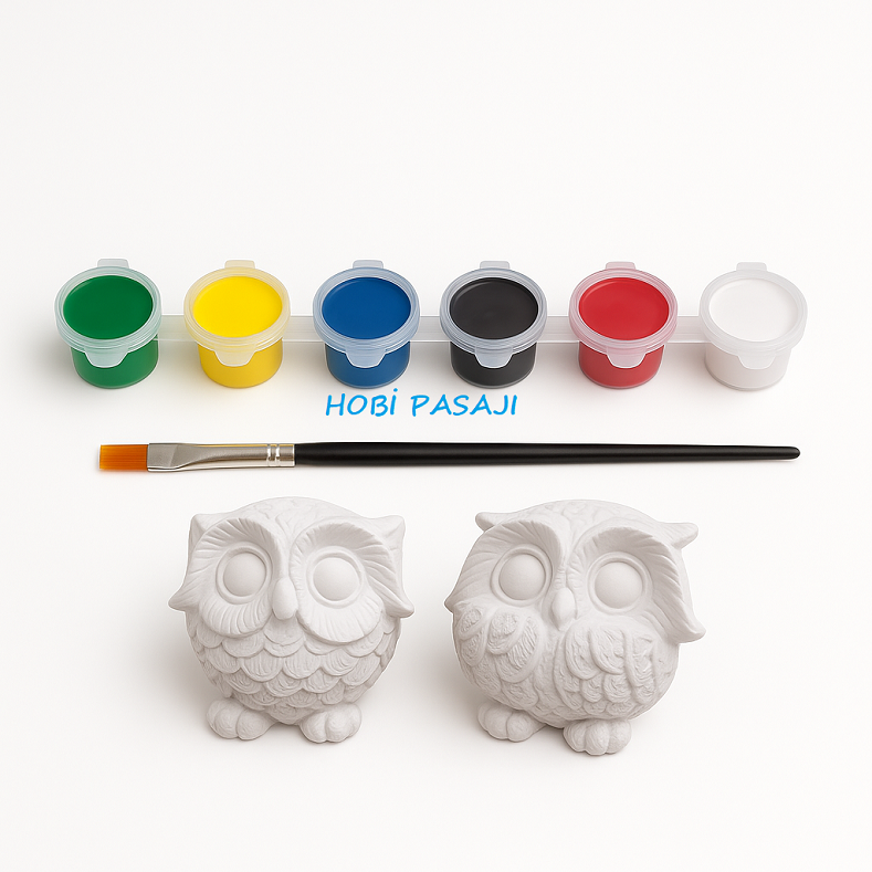 Taş Boyama Seti Baykuşlar 6 Renk Akrilik Boya 5ml + Fırça
