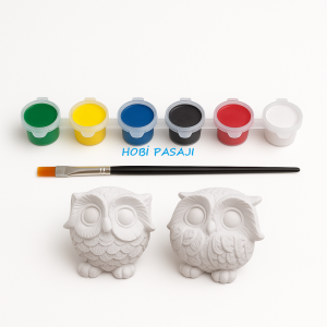 Taş Boyama Seti Baykuşlar 6 Renk Akrilik Boya 5ml + Fırça