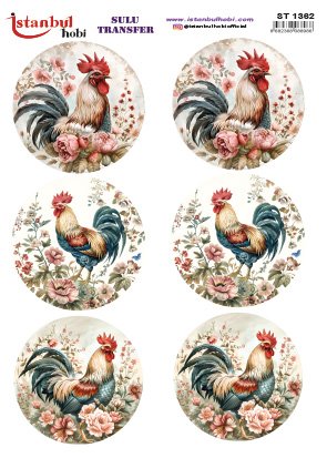 Sulu Transfer Kağıdı 25x35cm ST-1362