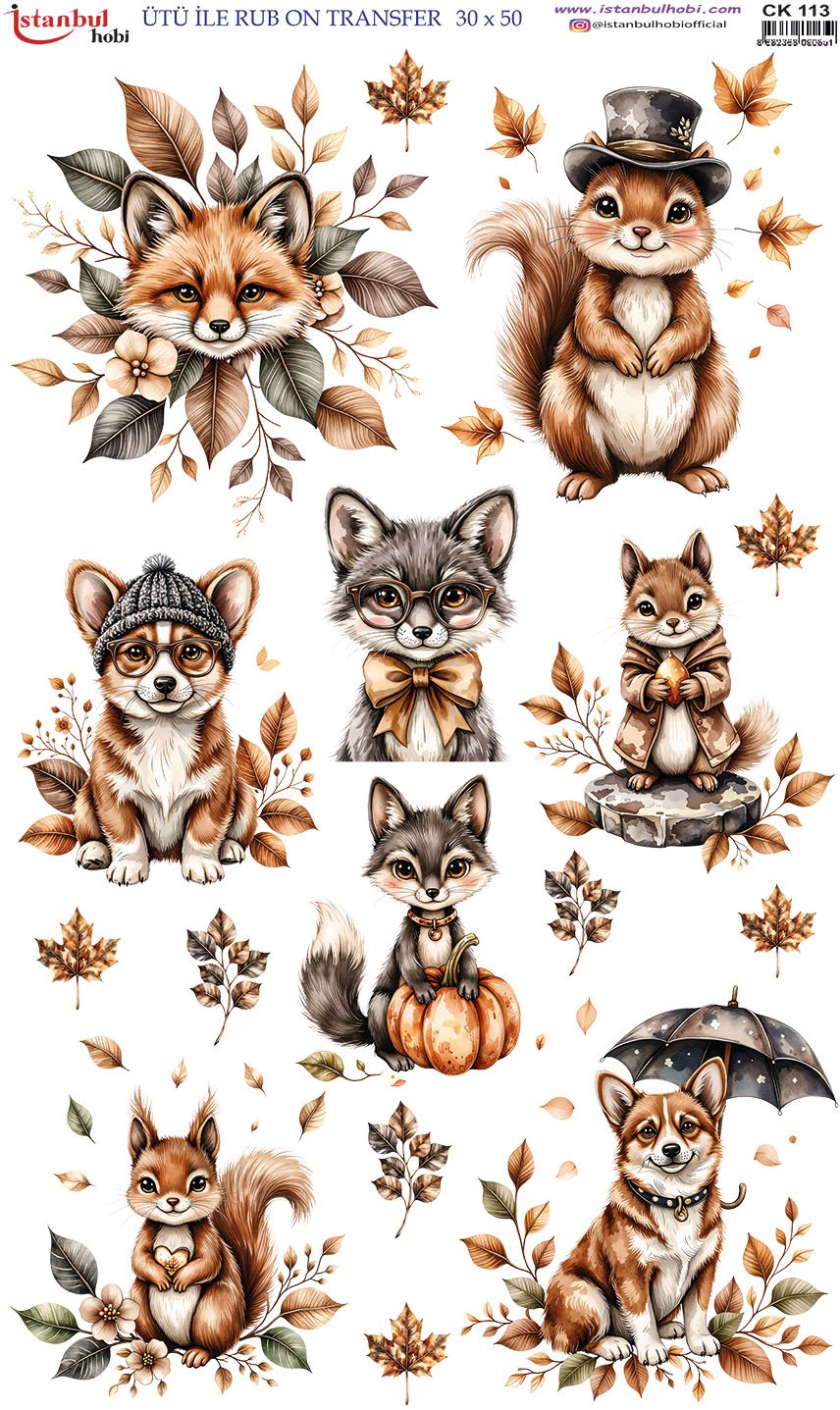 Ütü İle Rub On Transfer 30x50cm CK113