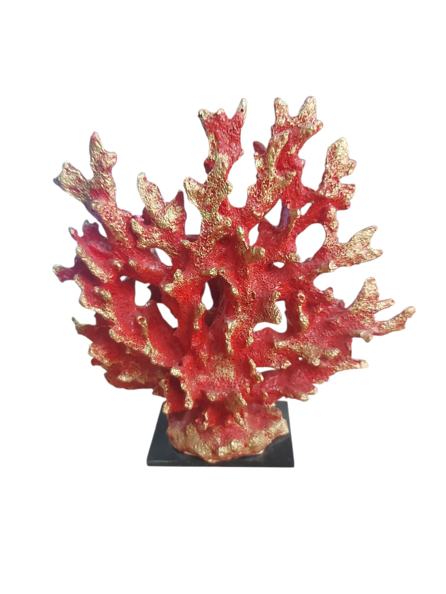 Kaideli Mercan 25x21cm