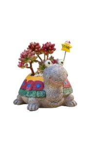 Sevimli Kaplumbağa Saksı 10,5x9cm