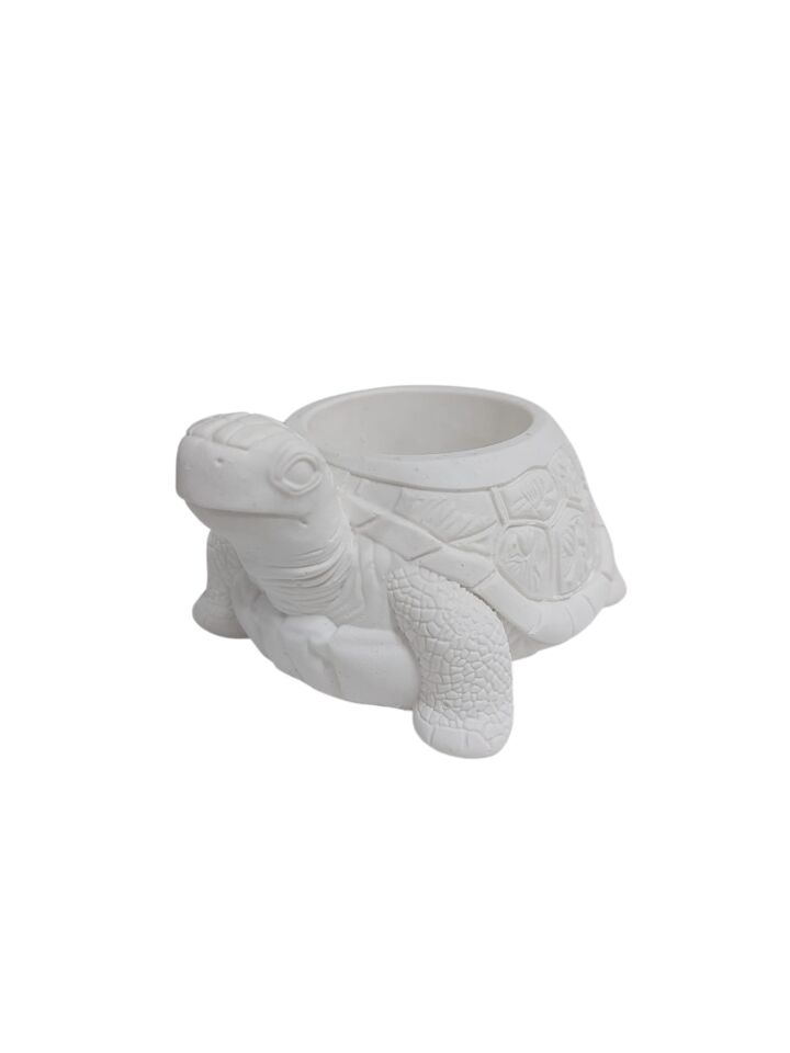 Kaplumbağa Saksı 10x8cm