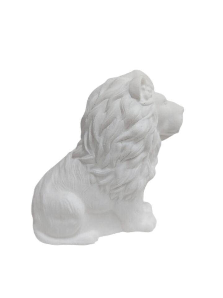 Aslan Kral 9,4x9,3cm