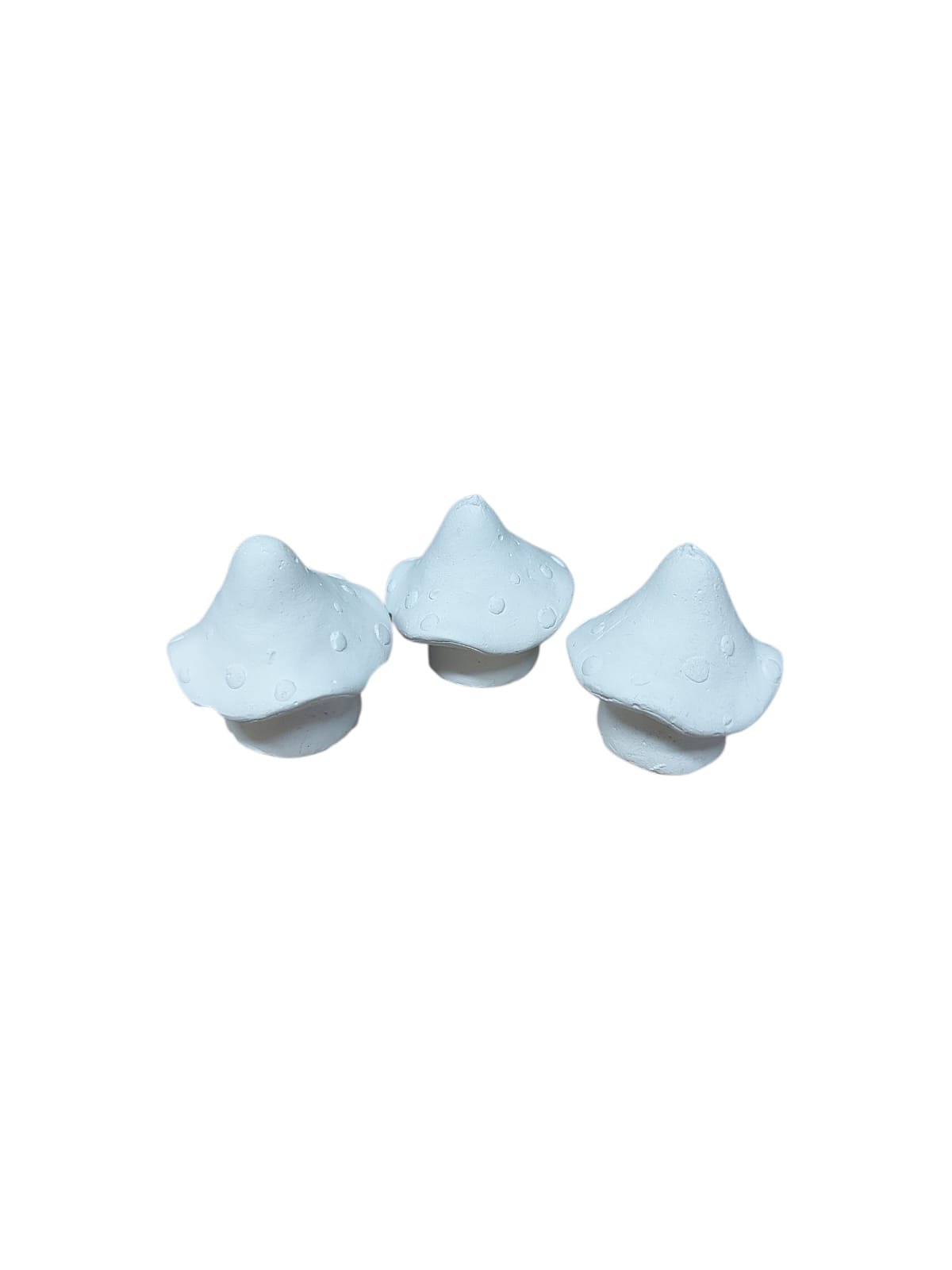 Mantar Seti 3 lü 4x3cm