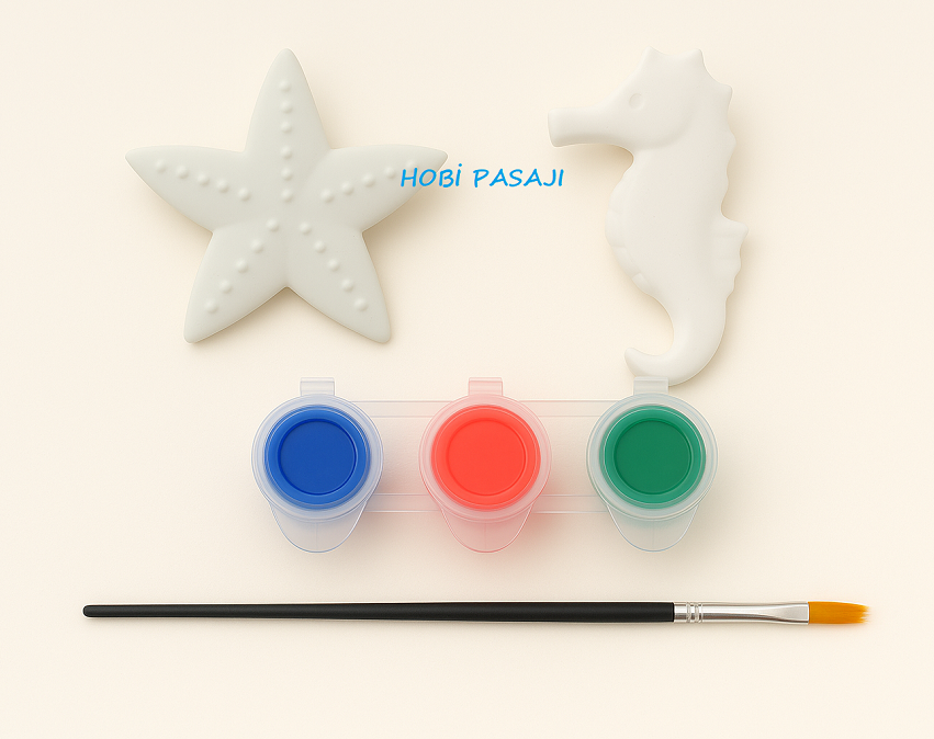 Taş Boyama Seti Deniz Yıldızı ve Deniz Atı 3 Renk Akrilik Boya 5ml + Fırça