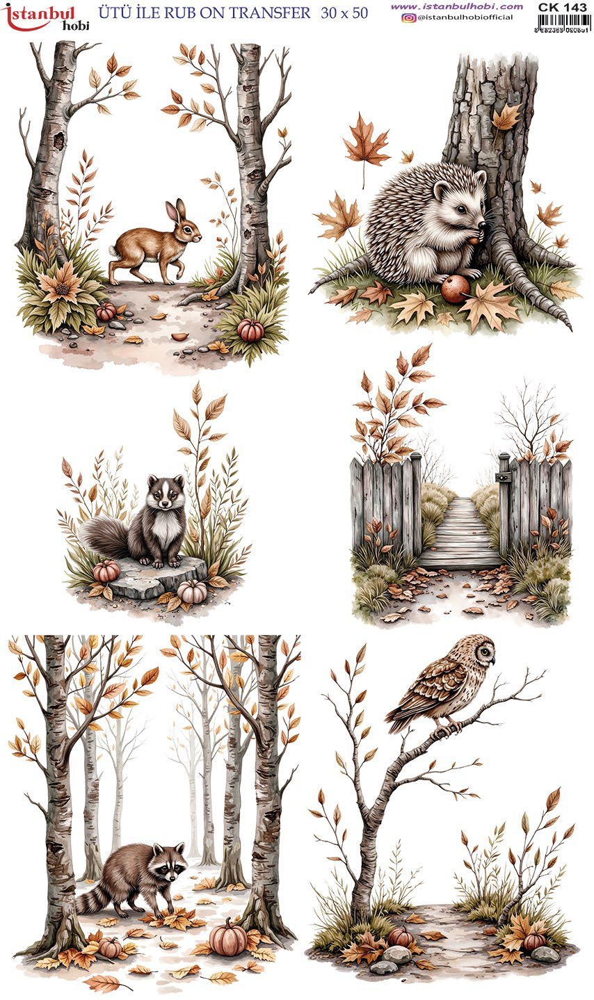 Ütü İle Rub On Transfer 30x50cm CK143